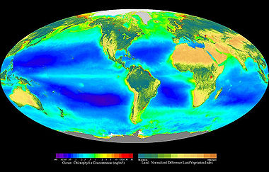 Composite image showing the global distribution of photosynthesis, including both oceanic phytoplankton and terrestrial vegetation.